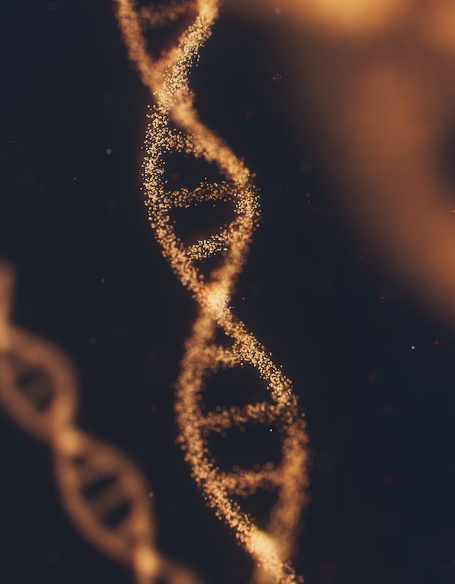 The plural of helix is helices or helixes